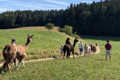 Lama3