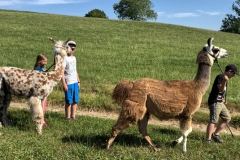 Lama4
